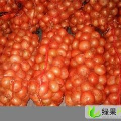 常年大量供应优质黄皮、红皮洋葱