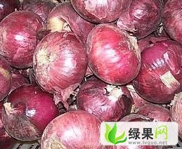 济宁市鸡术镇周先生：红皮洋葱0.6-0.9元/斤