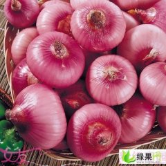 菏泽市山东省周先生：紫皮洋葱