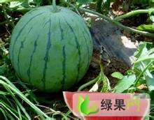 京欣价格