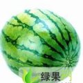 白银市郭城镇陈先生：花皮无籽