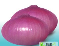焦作市博爱县王先生：红皮洋葱0.85元/斤