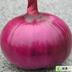 安阳市桑村乡贾保昌：洋葱4.8元/斤