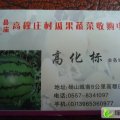 安徽砀山化标瓜果代办基地