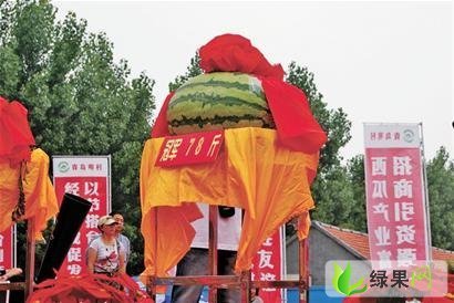 双星价格