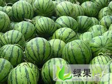 台新1号等等价格