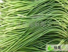 滨州市李庄吴：优质蒜苔1.8元/斤