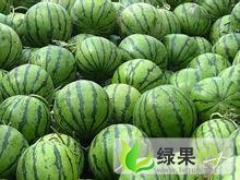 保定市北河庄恭喜你发：京欣1元/斤