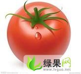 山东大红西红柿代办张小飞齐达利0.3-0.6元斤