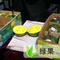 济阳仁风镇仁风富硒西瓜10元/斤