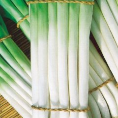 潍坊市开发区夏先生：铁杆大葱