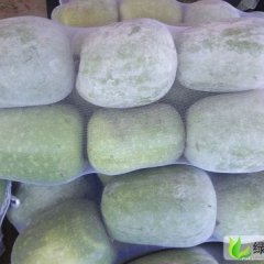 聊城市王建朋：冬瓜0.3元/斤