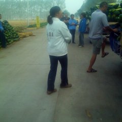 焦作市柏香张先生：子弹头黑皮冬瓜