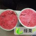 潍坊市泊子镇小周：早春红玉1.2元/斤