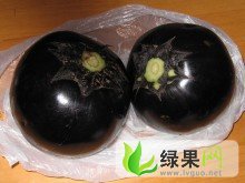 聊城市沙镇李王怀光：快园茄0.7元/斤