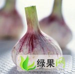 潍坊市担山张乐：鲜蒜0.6--0.8元/斤