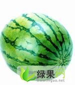 白银市郭城镇曹生俊： 西陇八号