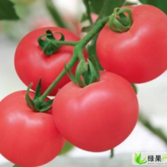 宜昌市殷家坪杜先生：黛粉