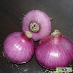 开封市孙营乡张军磊：红皮洋葱0.6元/斤