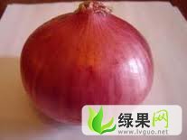 开封市后付闫开伟：红皮洋葱18749820777