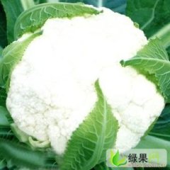 青岛市庄头张：1.5元/斤