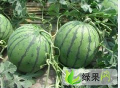 京欣价格