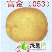 呼伦贝尔市鸿泰张忠强：富金053土豆