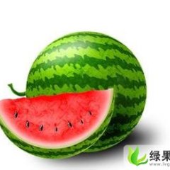 衢州市新塘边周建伟：麒麟西瓜