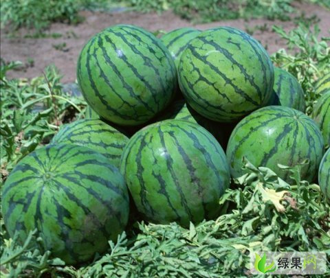 京欣价格