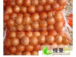 山东安丘黄皮洋葱供应：我是王家庄黄伟