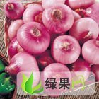 河南通许红皮洋葱：西关转万雷刚