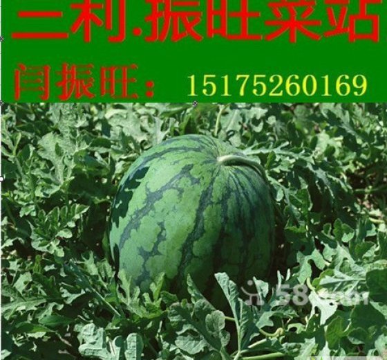 京欣价格