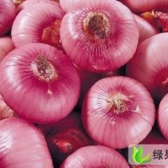 山东河东红皮洋葱0.5/斤