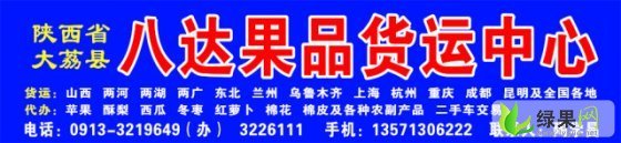 黑美人价格