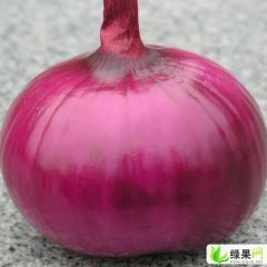 河南滑县红皮洋葱：大寨崔