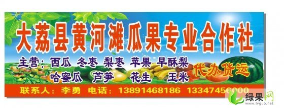 京欣价格