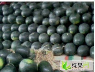 黑皮无籽价格