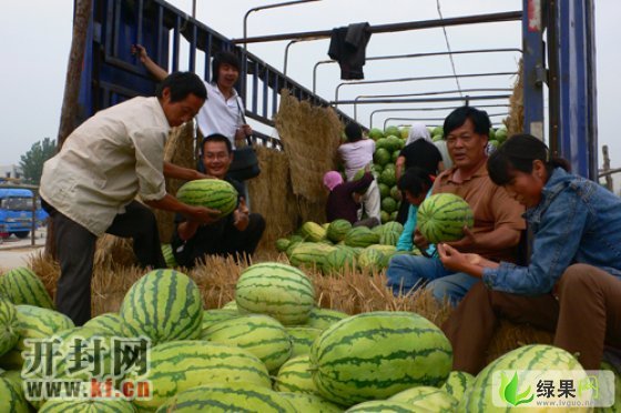 开封西瓜代办价格