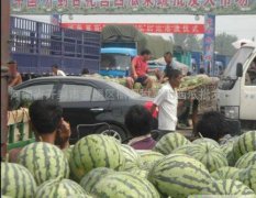 河南开封杏花营西瓜批发大市场