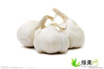 江苏射阳白蒜：合德镇徐先生