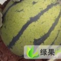 山东郯城京欣：红花镇周