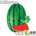 陕西合阳西农大霸王：黑池镇吴辉