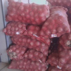 陕西泾阳红皮洋葱：安吴镇刘国正