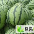 河南睢阳冠龙：李口镇李红伟