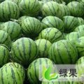 山东东昌府京欣：沙镇镇钱明
