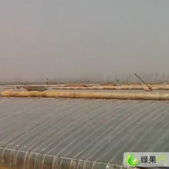 山东高密齐达利：大牟家孙联军