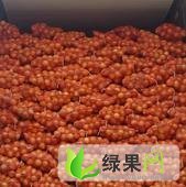 山东梁山黄皮洋葱：馆驿镇崔女士