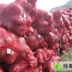 河南汝州红皮洋葱：纸坊乡小吴