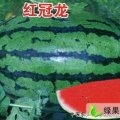 河南睢阳冠龙：娄店乡江华林