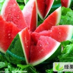 辽宁凌海西瓜代收 西瓜代办凌海西瓜